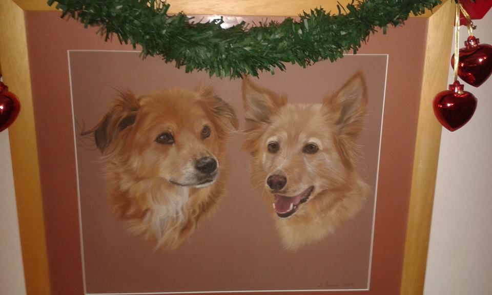 Pet portrait by Joanne Simpson